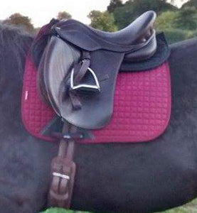 The importance of correct saddle fitting